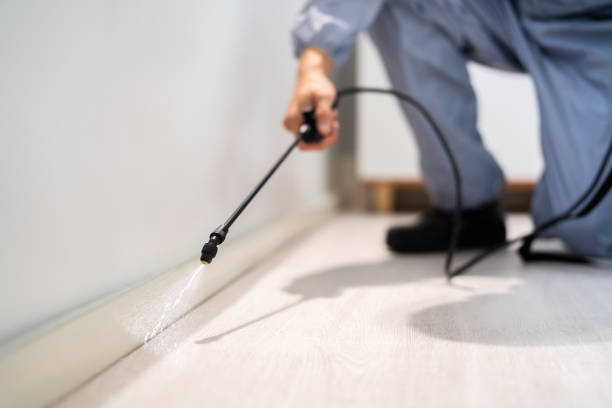 Licensed Pest Control service in Black Mountain, NC - Show Me Pest Control